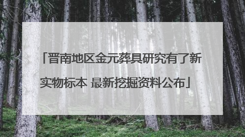 晋南地区金元葬具研究有了新实物标本 最新挖掘资料公布