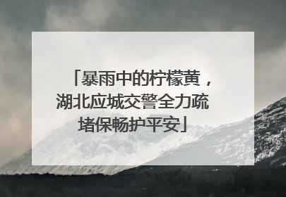 暴雨中的柠檬黄，湖北应城交警全力疏堵保畅护平安