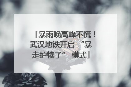 暴雨晚高峰不慌！武汉地铁开启 “暴走护犊子” 模式
