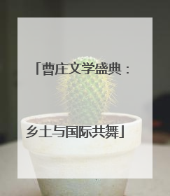 曹庄文学盛典：乡土与国际共舞