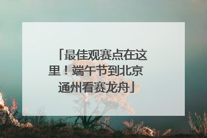 最佳观赛点在这里！端午节到北京通州看赛龙舟