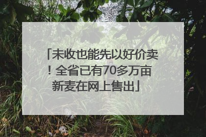 未收也能先以好价卖！全省已有70多万亩新麦在网上售出
