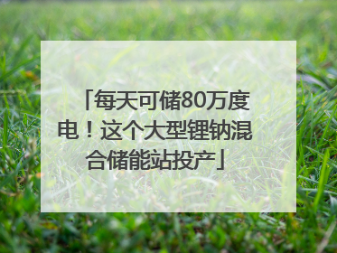 每天可储80万度电！这个大型锂钠混合储能站投产