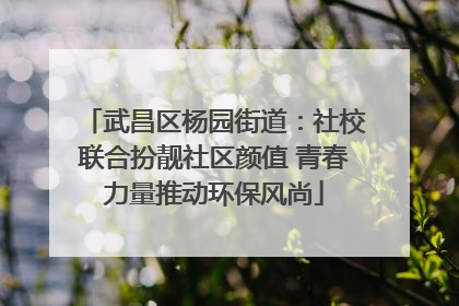 武昌区杨园街道：社校联合扮靓社区颜值 青春力量推动环保风尚