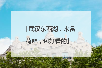 武汉东西湖：来赏荷吧，包好看的