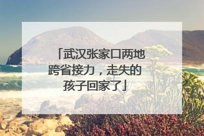 武汉张家口两地跨省接力，走失的孩子回家了