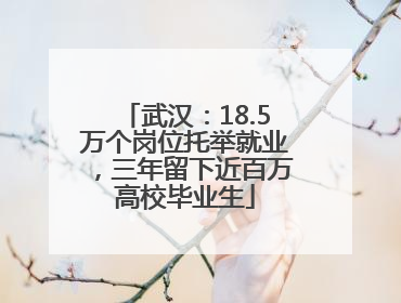 武汉：18.5万个岗位托举就业，三年留下近百万高校毕业生