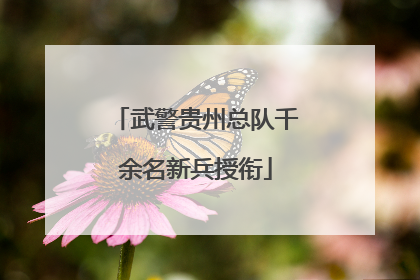 武警贵州总队千余名新兵授衔