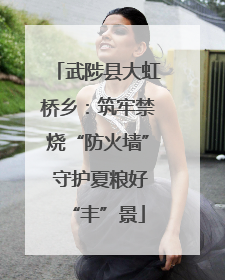 武陟县大虹桥乡：筑牢禁烧“防火墙” 守护夏粮好“丰”景