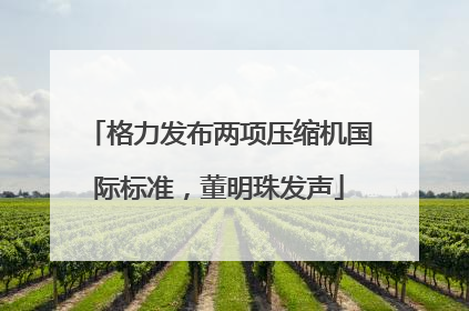 格力发布两项压缩机国际标准，董明珠发声