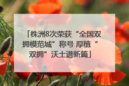 株洲8次荣获“全国双拥模范城”称号 厚植“双拥”沃土谱新篇