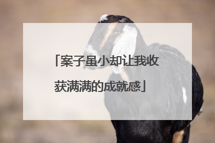 案子虽小却让我收获满满的成就感
