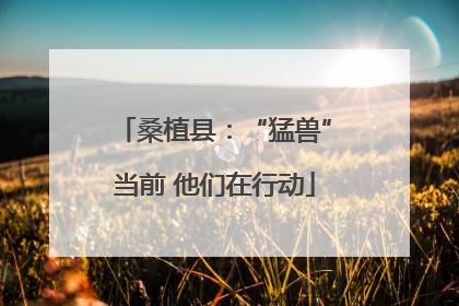 桑植县：“猛兽”当前 他们在行动