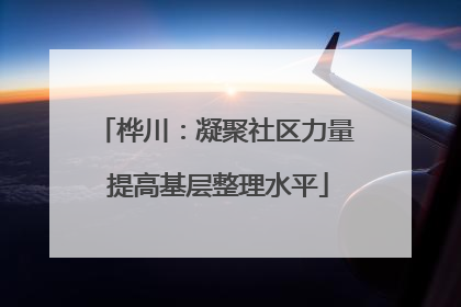 桦川：凝聚社区力量 提高基层整理水平