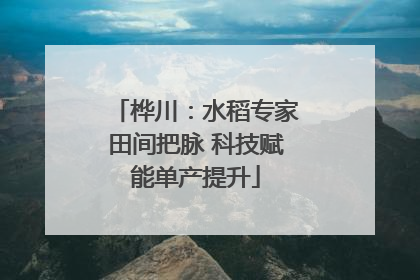 桦川：水稻专家田间把脉 科技赋能单产提升