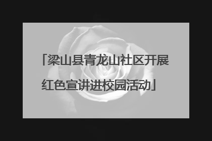 梁山县青龙山社区开展红色宣讲进校园活动