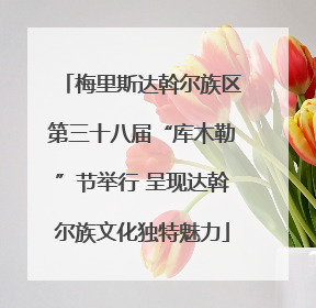梅里斯达斡尔族区第三十八届“库木勒”节举行 呈现达斡尔族文化独特魅力