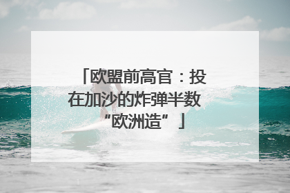 欧盟前高官：投在加沙的炸弹半数“欧洲造”