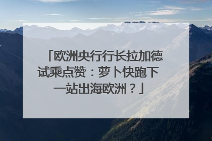 欧洲央行行长拉加德试乘点赞：萝卜快跑下一站出海欧洲？