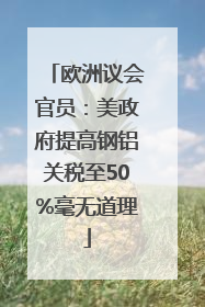 欧洲议会官员：美政府提高钢铝关税至50%毫无道理