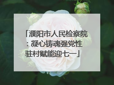 濮阳市人民检察院：凝心铸魂强党性 驻村赋能迎七一