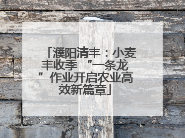 濮阳清丰：小麦丰收季 “一条龙”作业开启农业高效新篇章