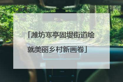 潍坊寒亭固堤街道绘就美丽乡村新画卷