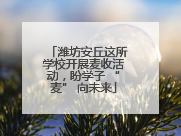 潍坊安丘这所学校开展麦收活动，盼学子 “麦” 向未来