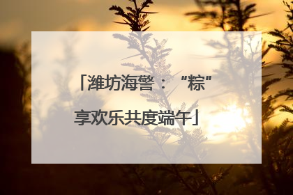 潍坊海警：“粽”享欢乐共度端午