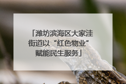 潍坊滨海区大家洼街道以“红色物业”赋能民生服务