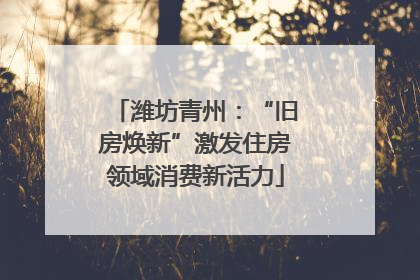 潍坊青州：“旧房焕新”激发住房领域消费新活力