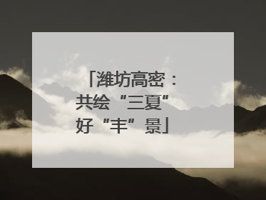 潍坊高密：共绘“三夏”好“丰”景