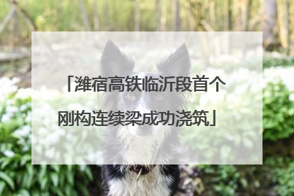潍宿高铁临沂段首个刚构连续梁成功浇筑