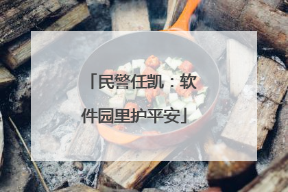 民警任凯：软件园里护平安