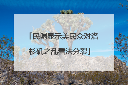 民调显示美民众对洛杉矶之乱看法分裂