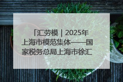 汇劳模｜2025年上海市模范集体——国家税务总局上海市徐汇区税务局第一税务所