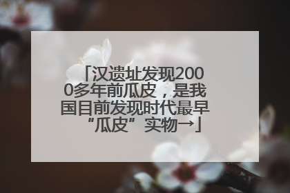 汉遗址发现2000多年前瓜皮，是我国目前发现时代最早“瓜皮”实物→