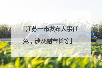 江苏一市发布人事任免，涉及副市长等