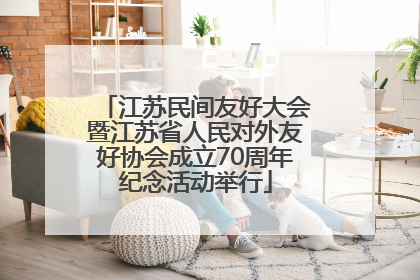 江苏民间友好大会暨江苏省人民对外友好协会成立70周年纪念活动举行
