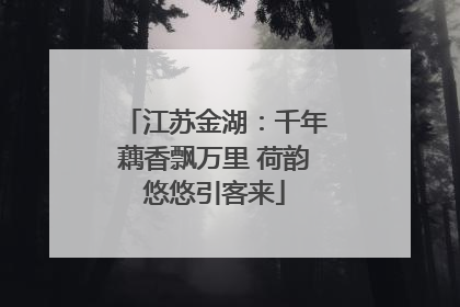 江苏金湖：千年藕香飘万里 荷韵悠悠引客来