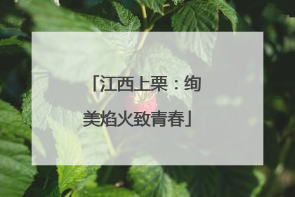 江西上栗：绚美焰火致青春