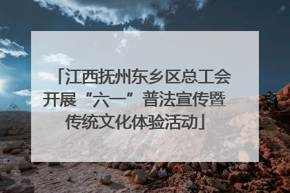 江西抚州东乡区总工会开展“六一”普法宣传暨传统文化体验活动