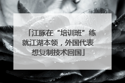 江豚在“培训班”练就江湖本领，外国代表想复制技术回国