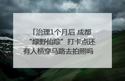 治理1个月后 成都“绿野仙踪”打卡点还有人横穿马路去拍照吗？｜民情瞭望