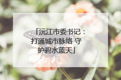 沅江市委书记：打通城市脉络 守护碧水蓝天