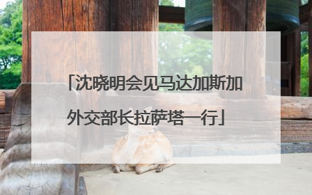 沈晓明会见马达加斯加外交部长拉萨塔一行