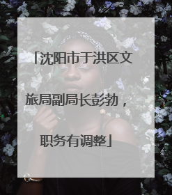 沈阳市于洪区文旅局副局长彭勃，职务有调整