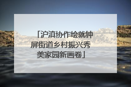 沪滇协作绘就钟屏街道乡村振兴秀美家园新画卷