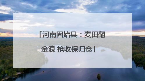 河南固始县：麦田翻金浪 抢收保归仓