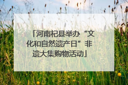 河南杞县举办“文化和自然遗产日”非遗大集购物活动